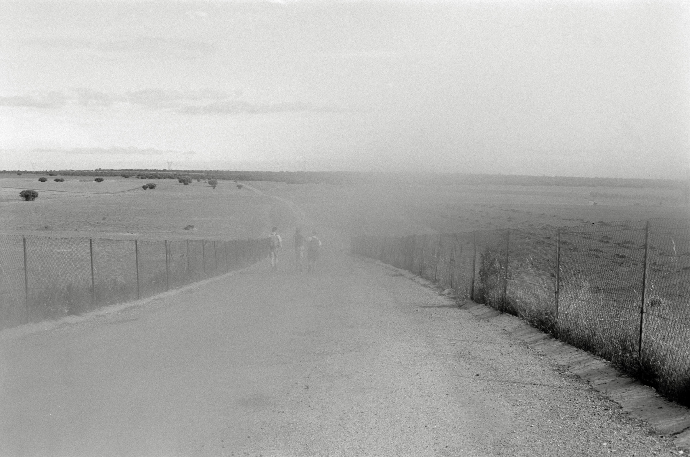 AHP F1995 05 009 sc240826 img04 NLP